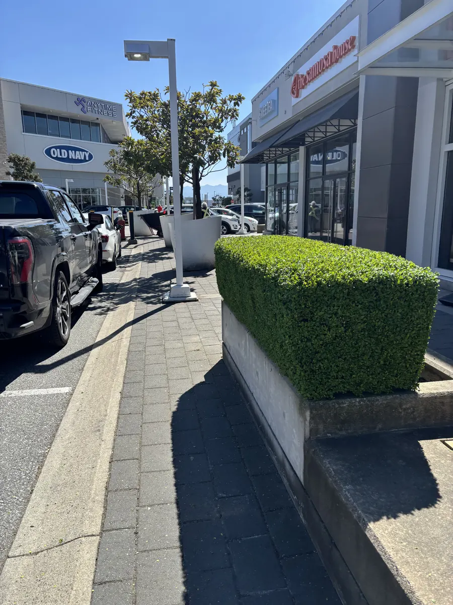 Precisely trimmed hedge at a commercial property