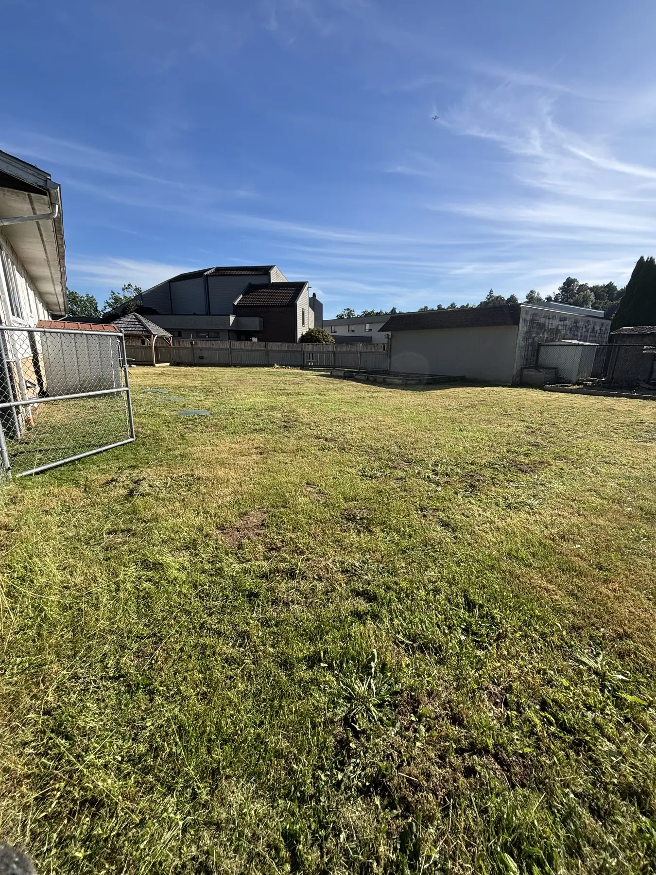 Yard after overgrown grass and weeds were cut back